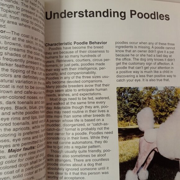 Poodles (Barron's Complete Pet Owner's Manuals) by Joe Stahlkuppe - Picture 7 of 10